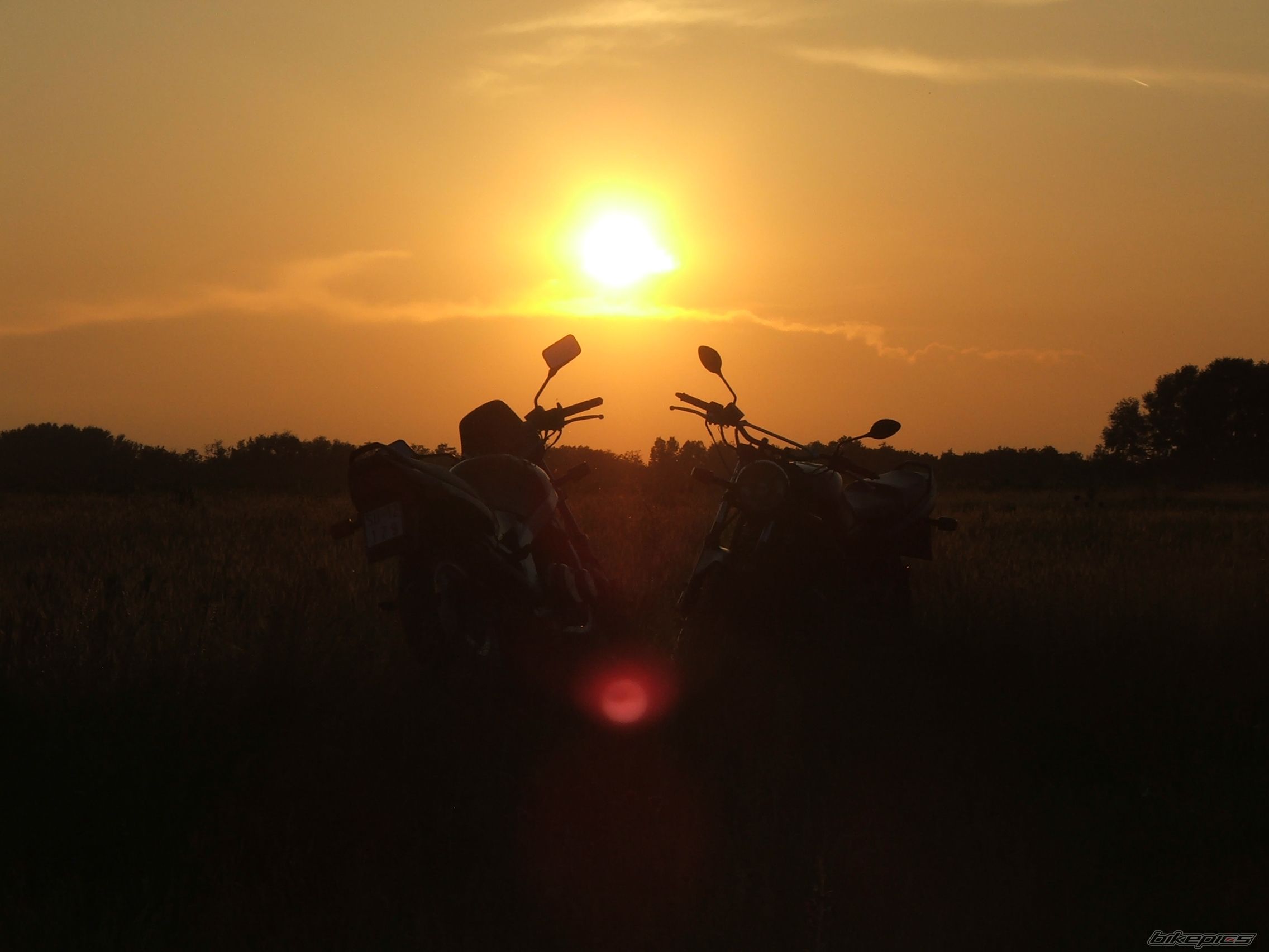 Photo 1299258