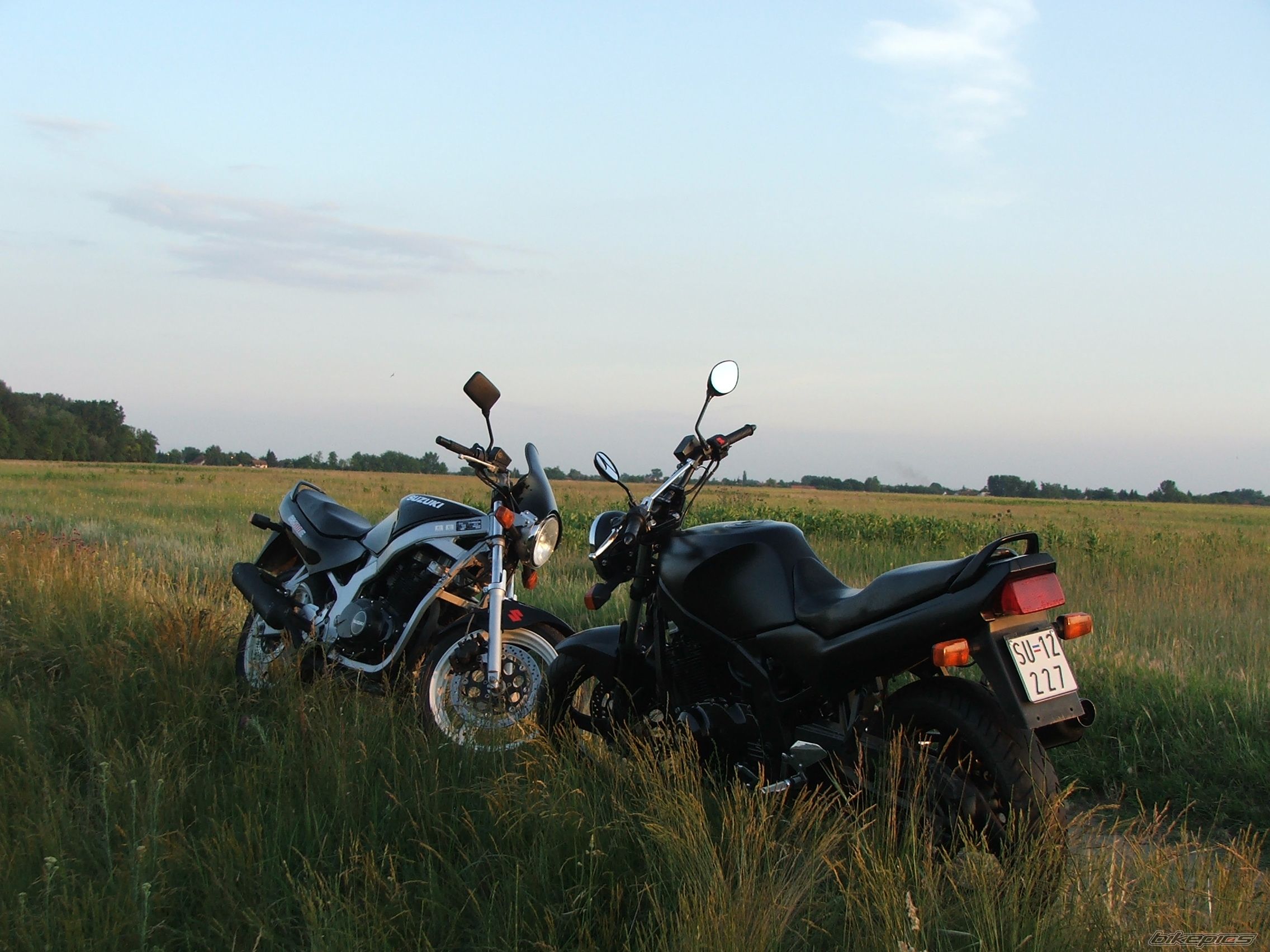 Photo 1299259