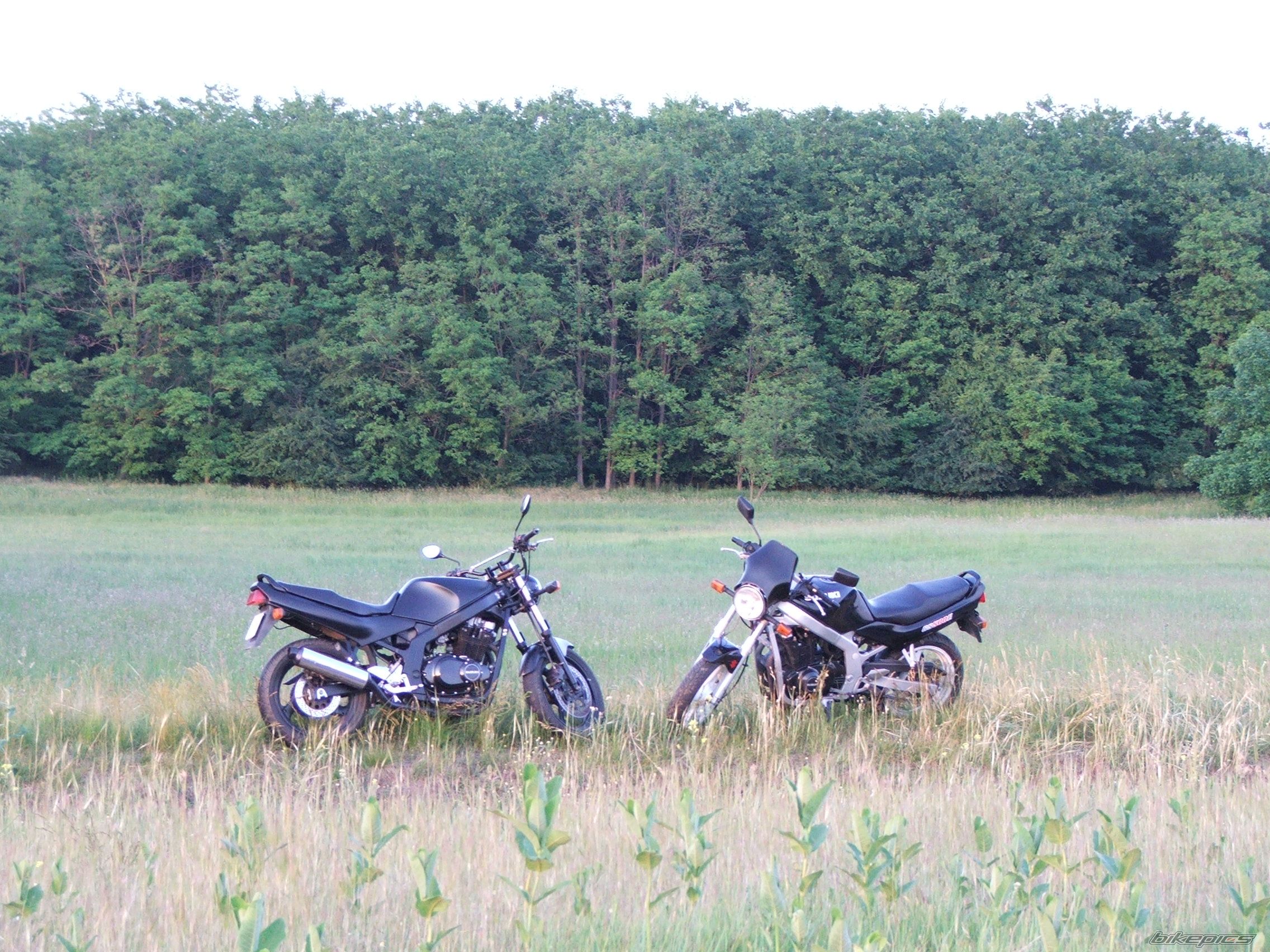Photo 1299261