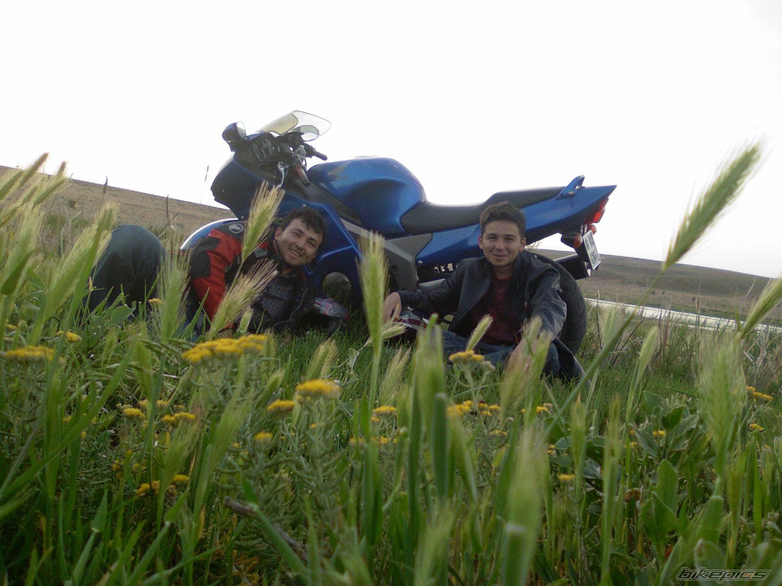 Photo 1299282