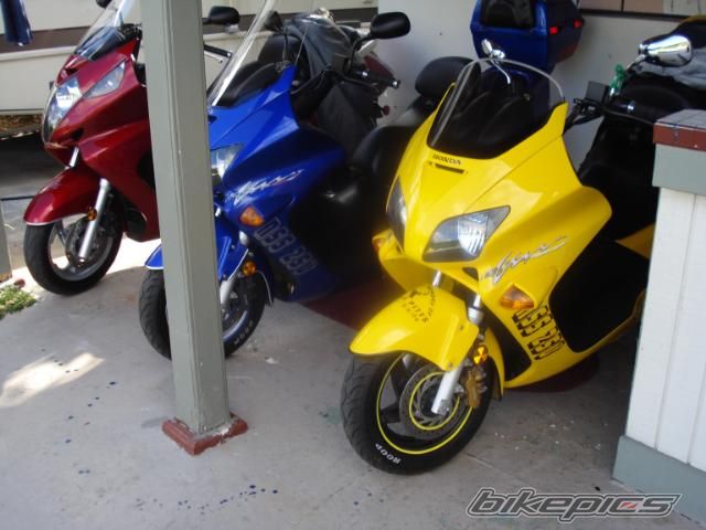 Photo 1299295