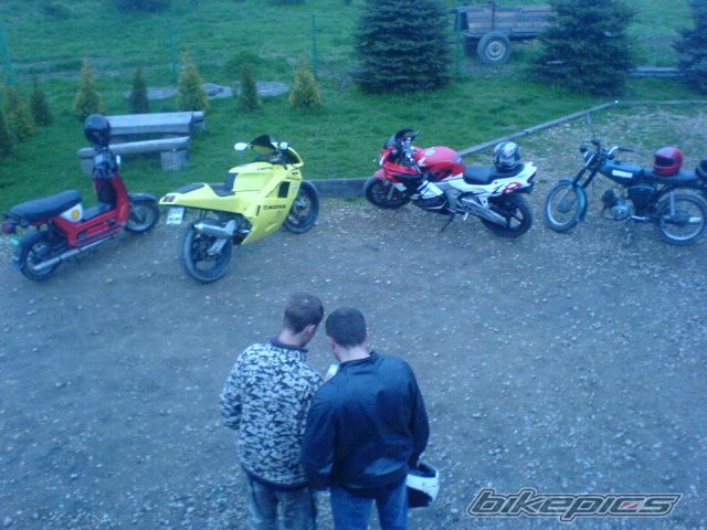 Photo 1299300