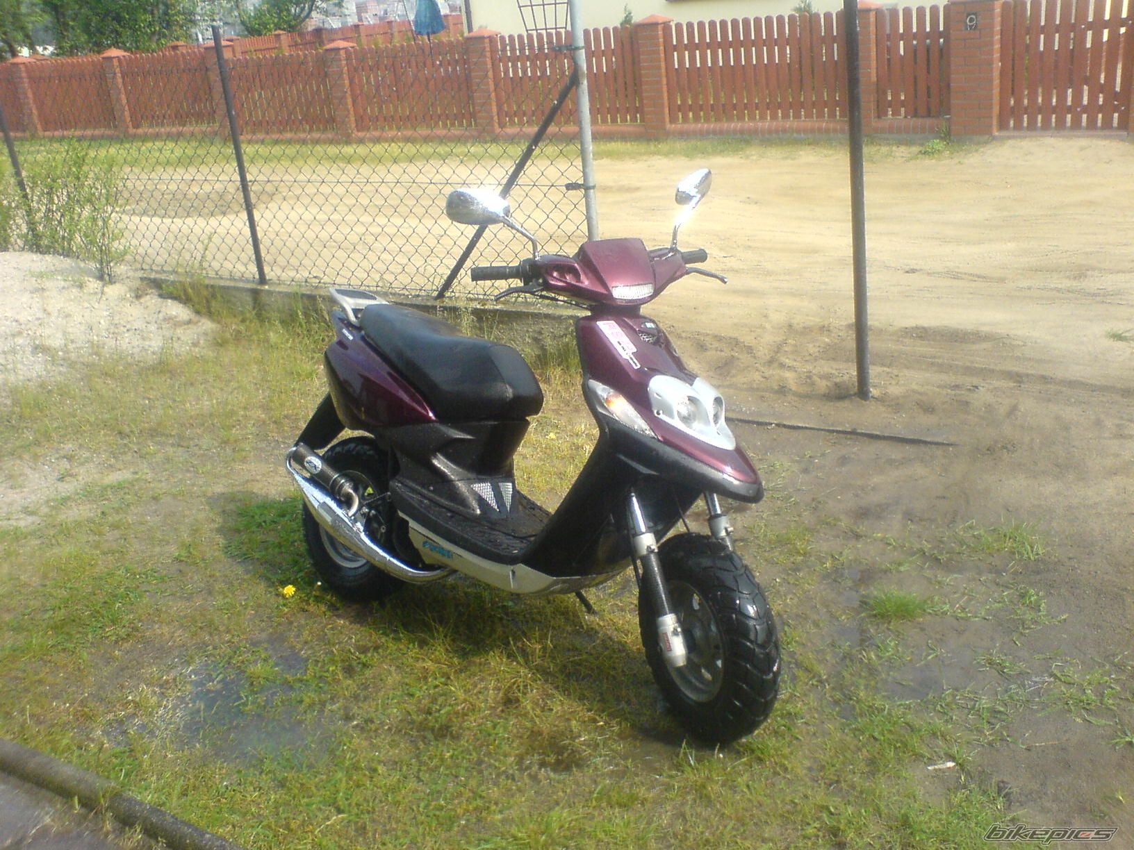 Photo 1299310