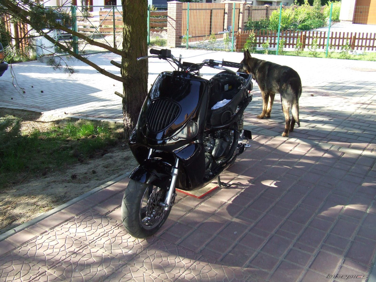 Bike Photo 1299311