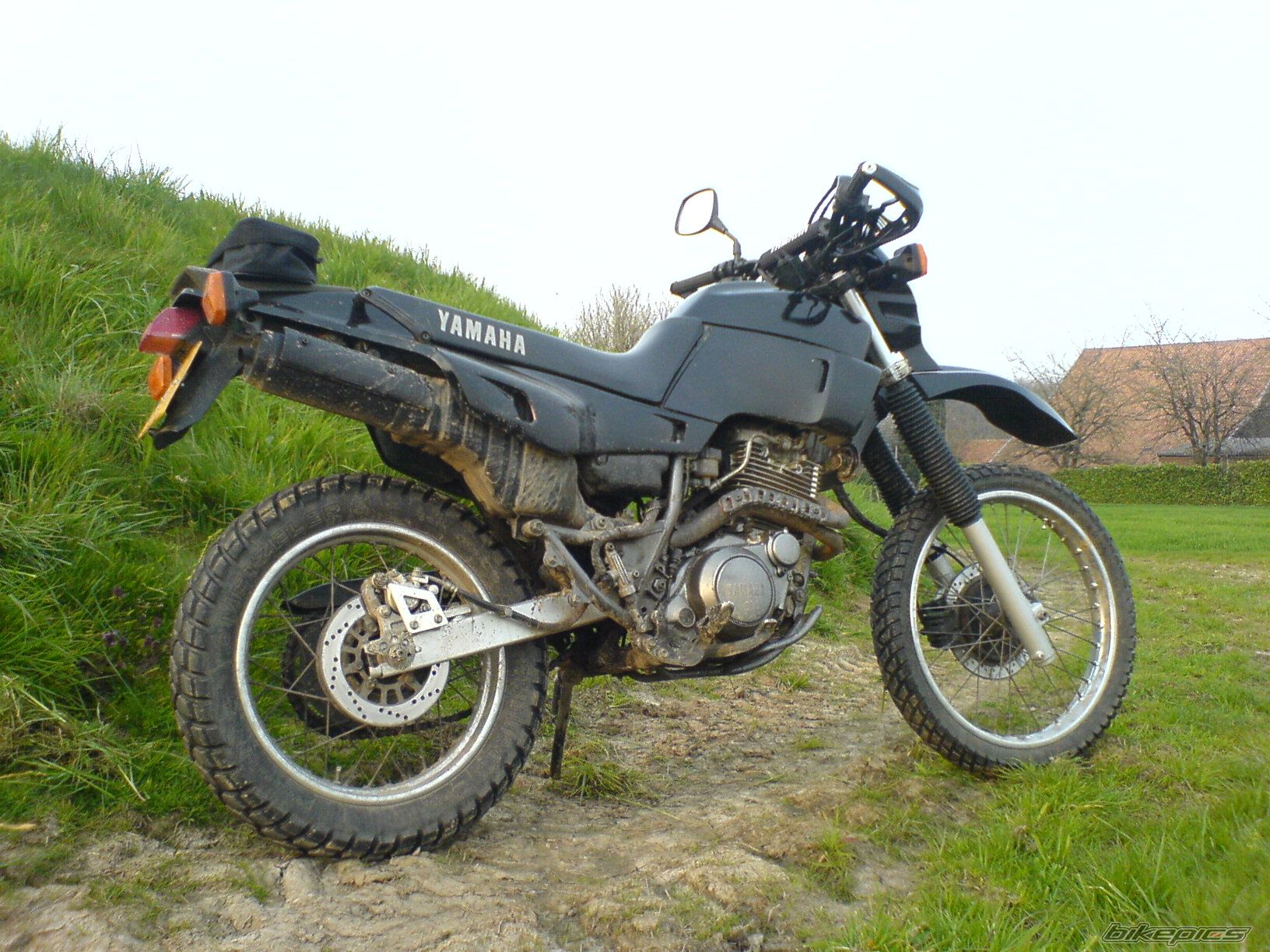 Photo 1299381