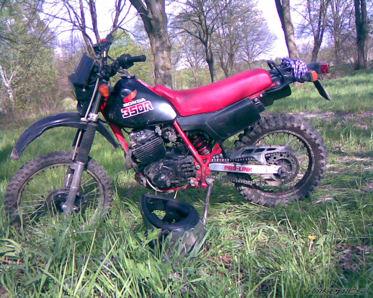 Photo 1299386