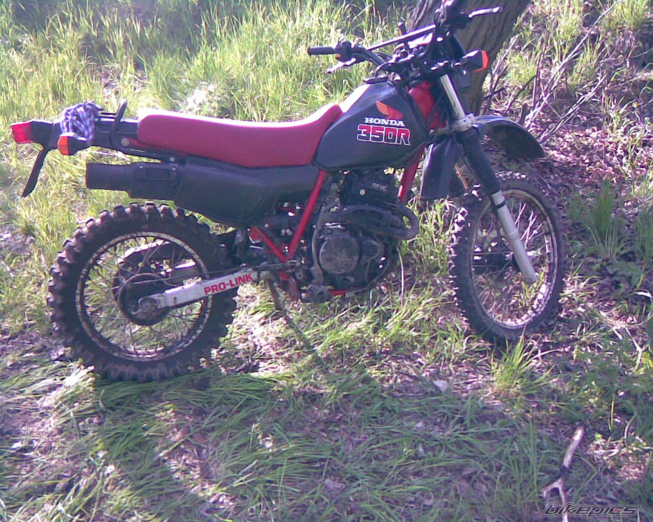 Photo 1299387