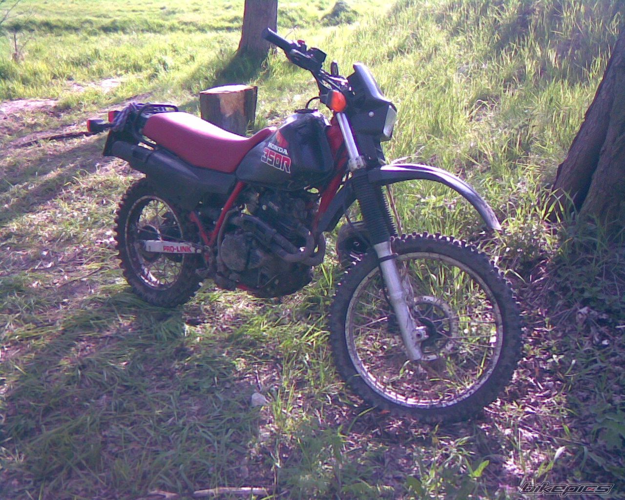 Photo 1299389