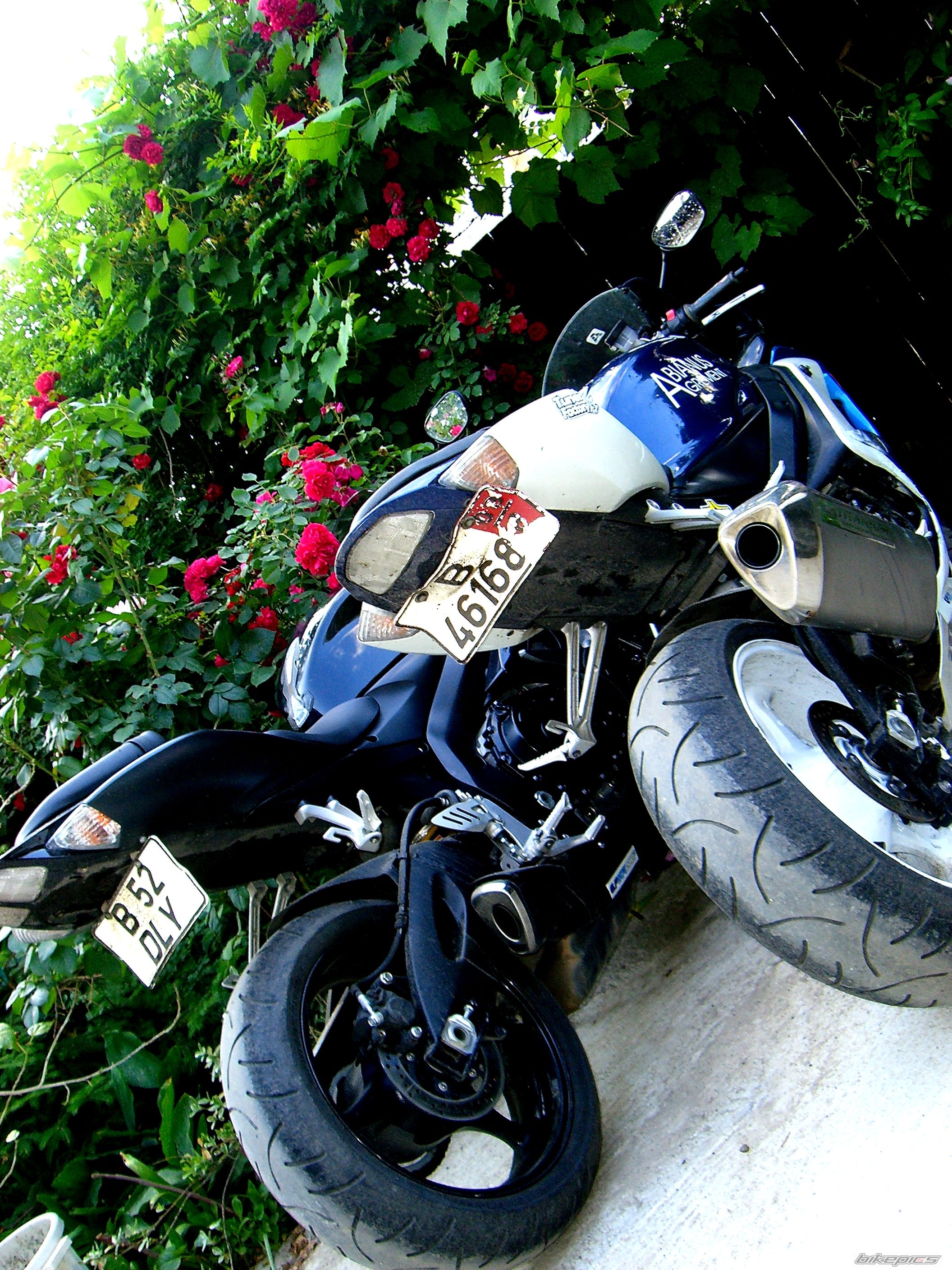 Bike Photo 1299494