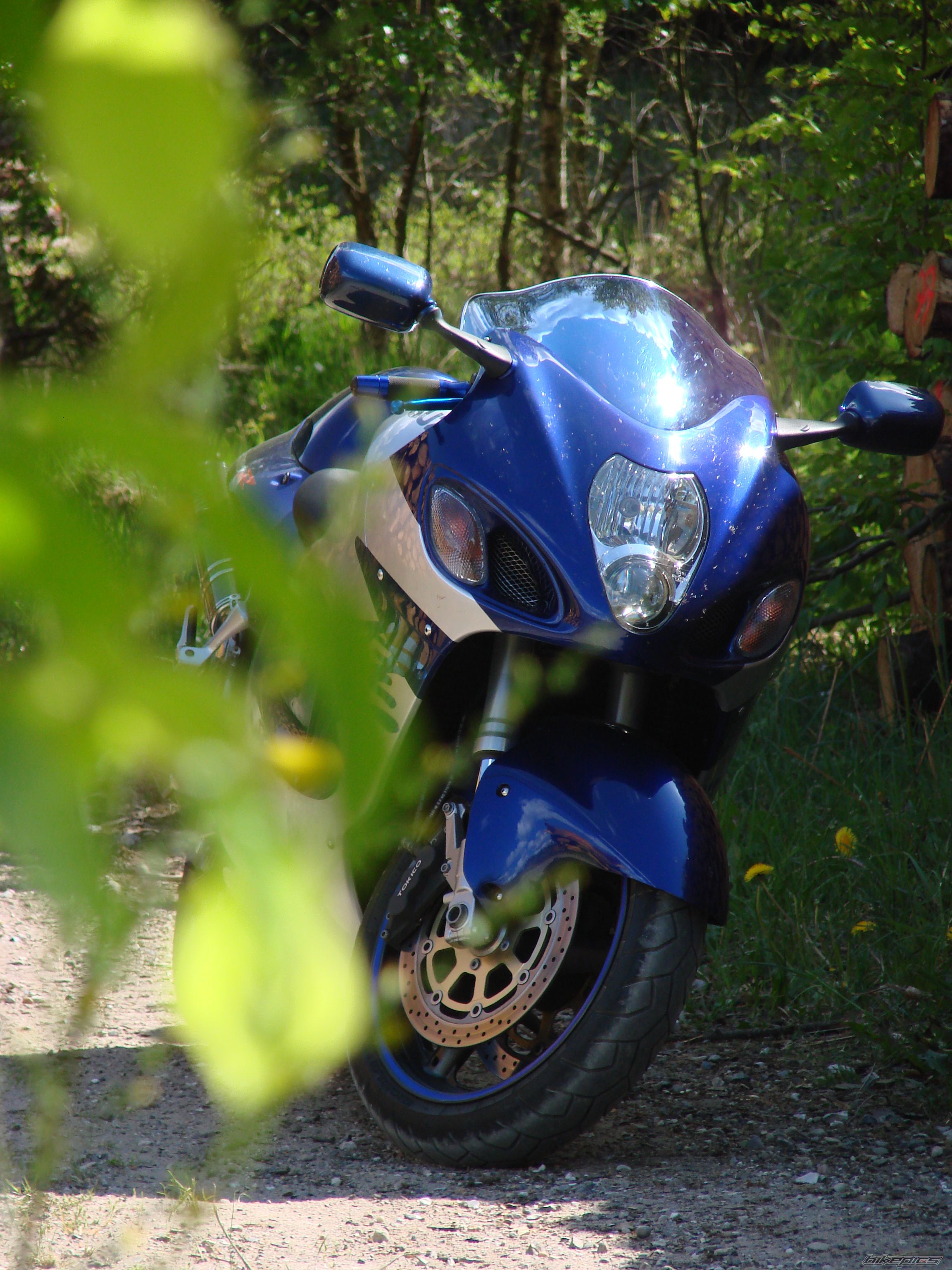 Photo 1299536