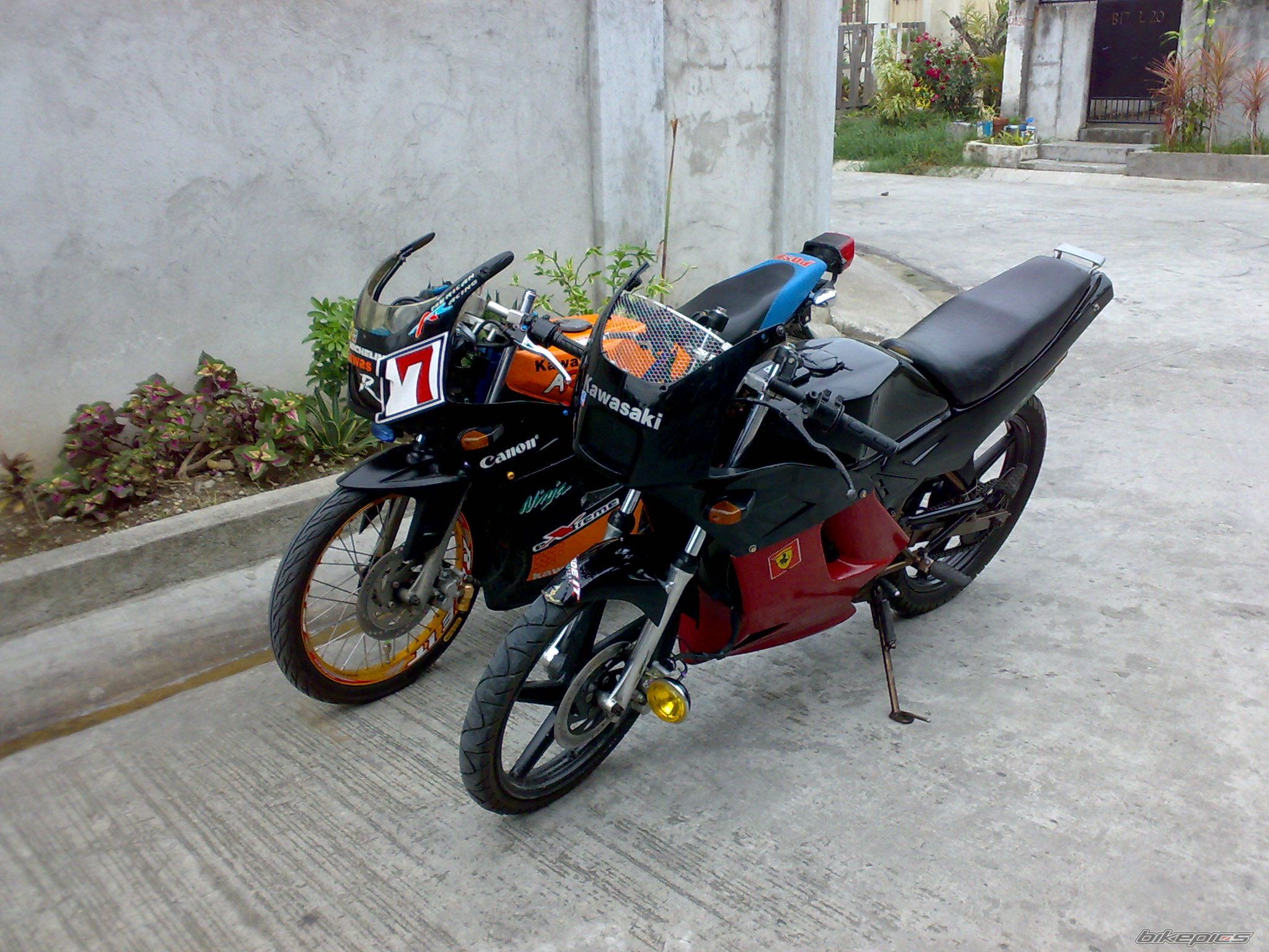 Photo 1299550