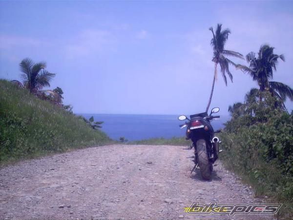 Photo 1299564