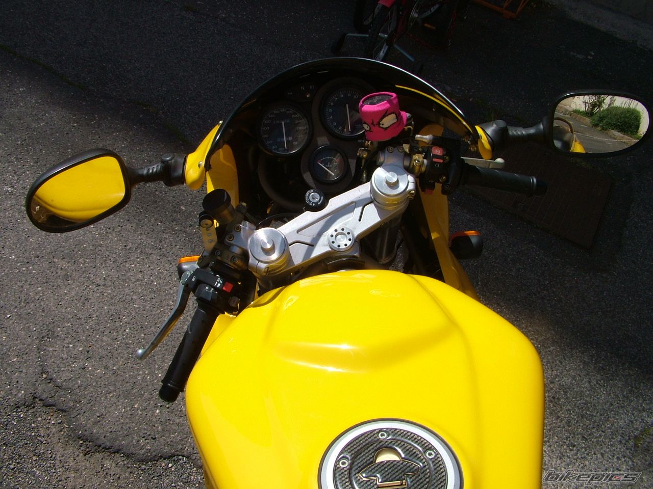 Photo 1299578