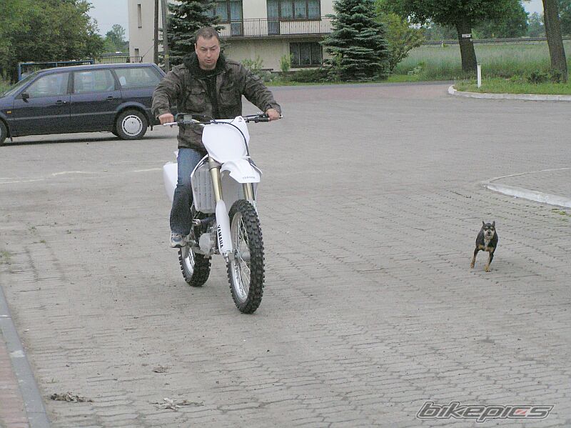 Photo 1299635