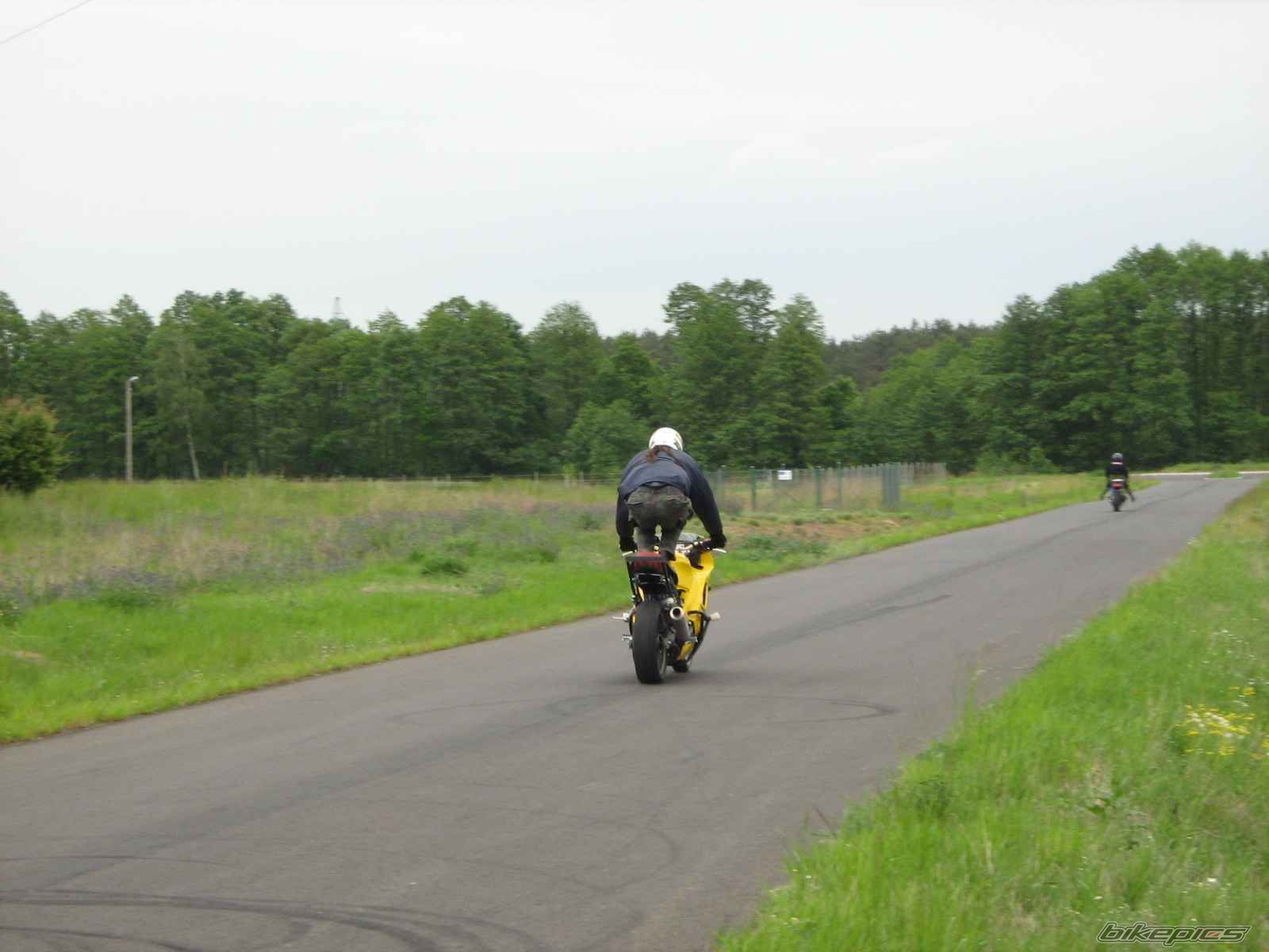 Photo 1299648