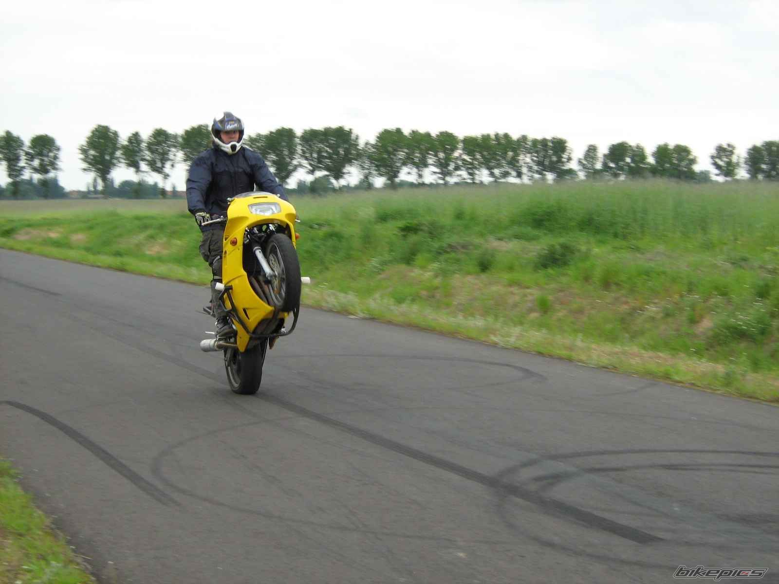 Photo 1299669