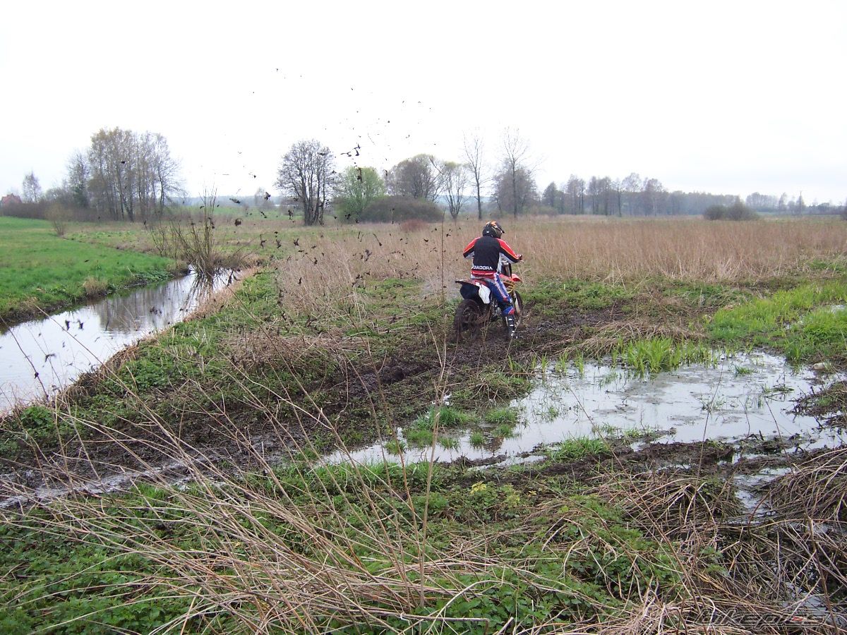Photo 1299676