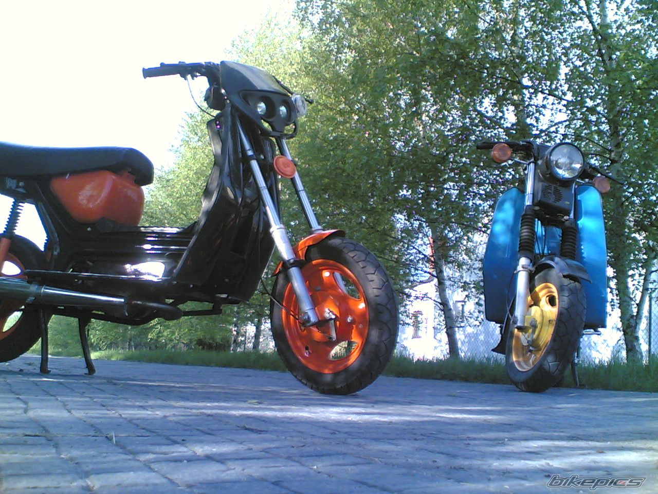 Photo 1299706