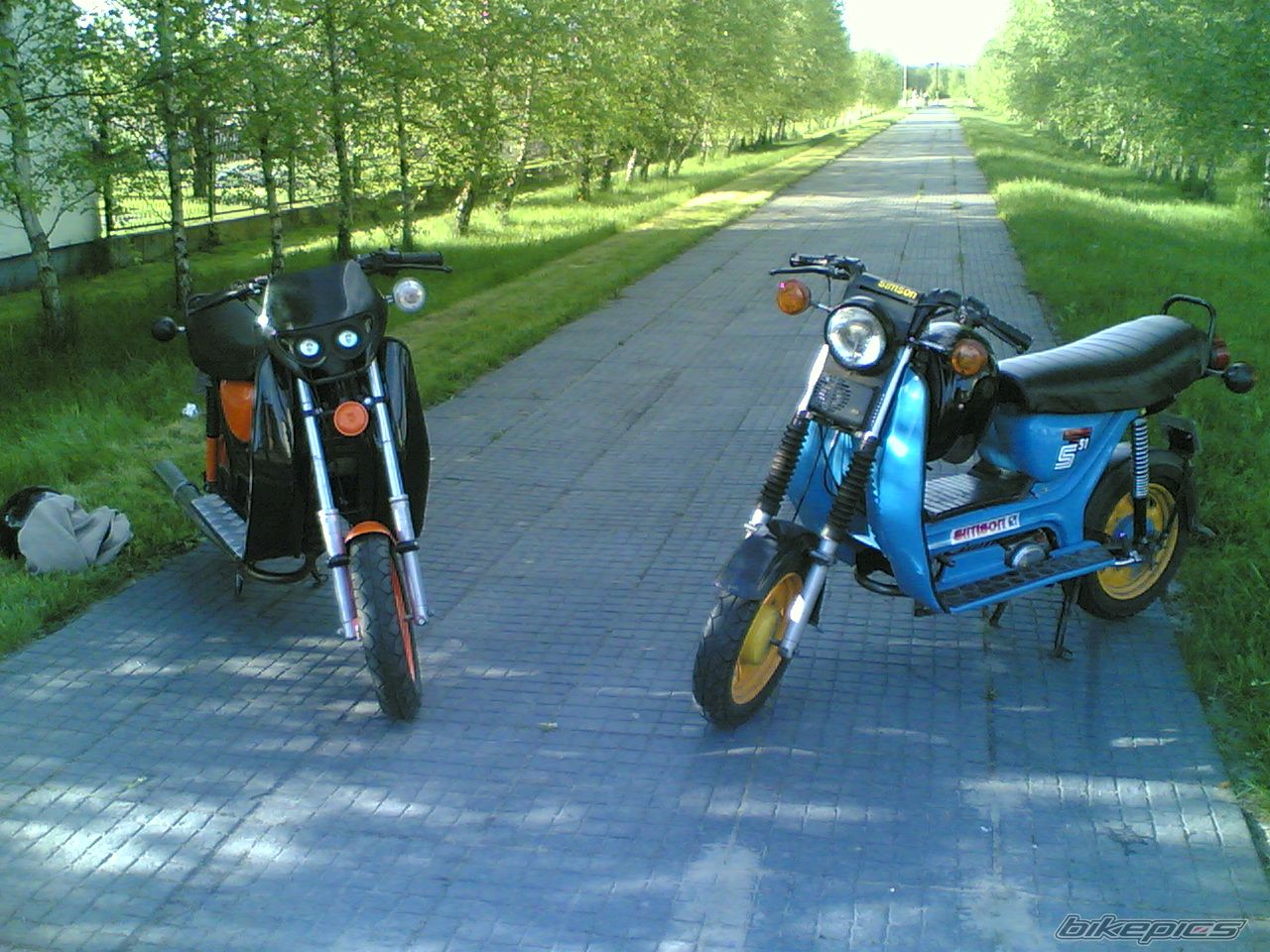 Photo 1299707