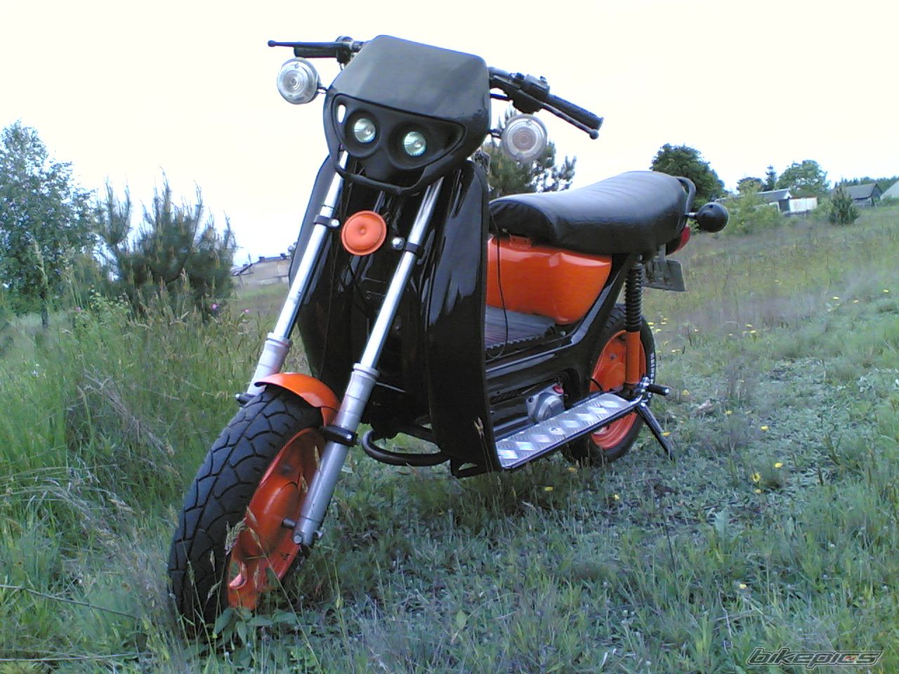Photo 1299710