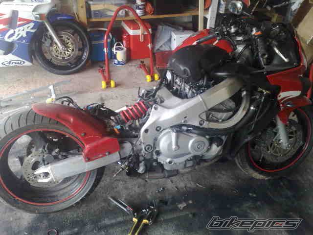 Photo 1299780