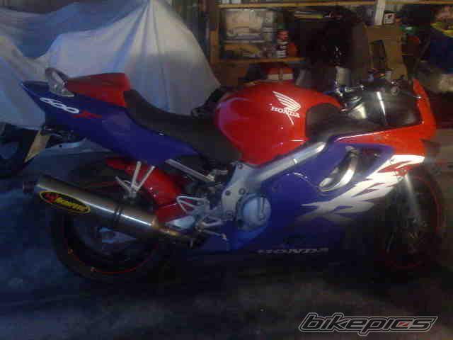Photo 1299782