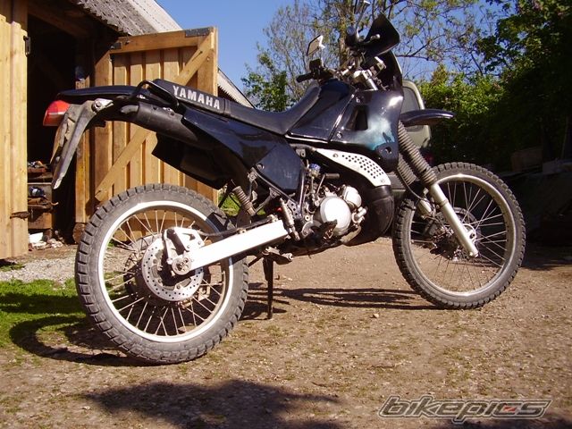 Photo 1299942