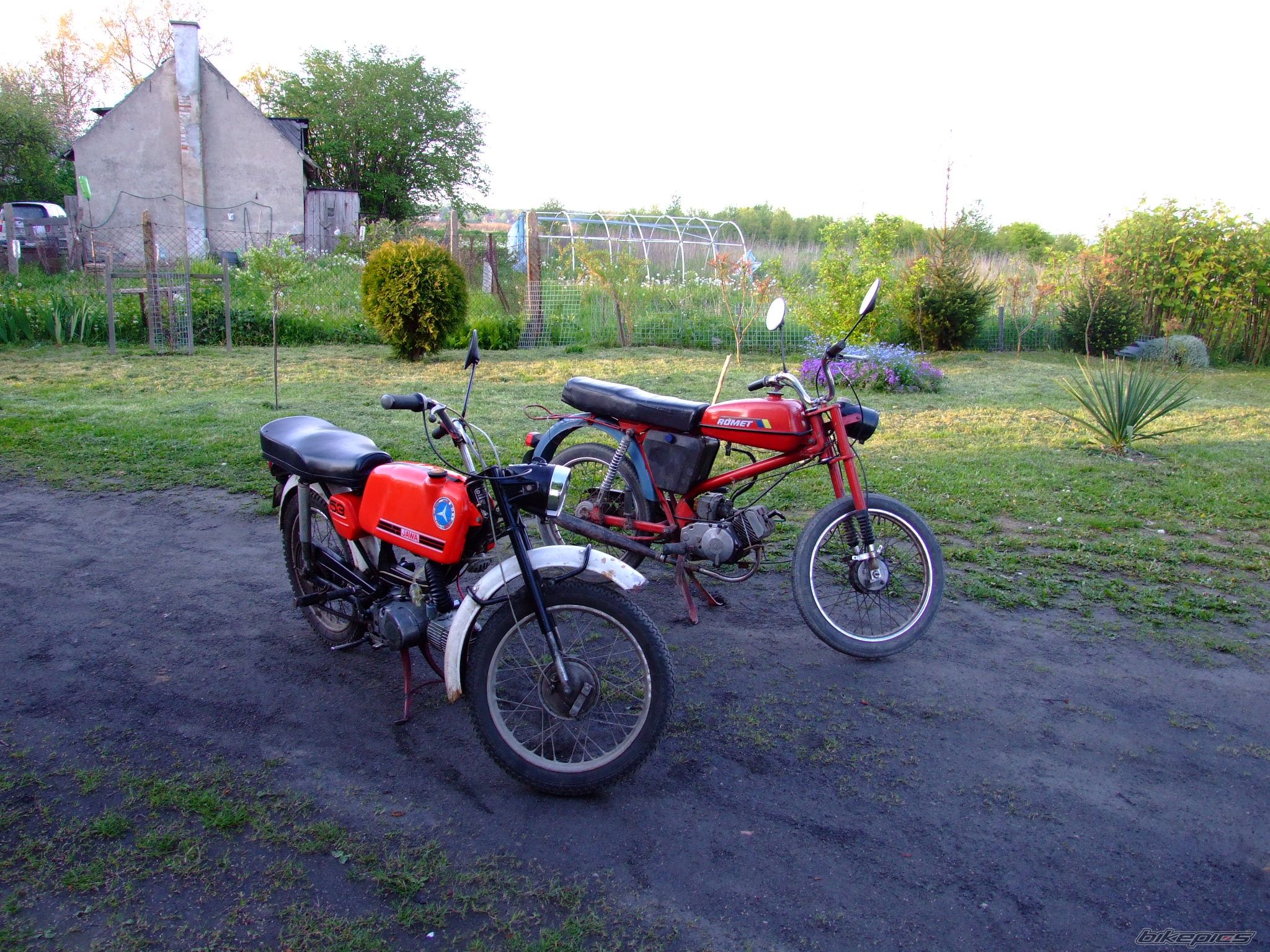 Photo 1299960