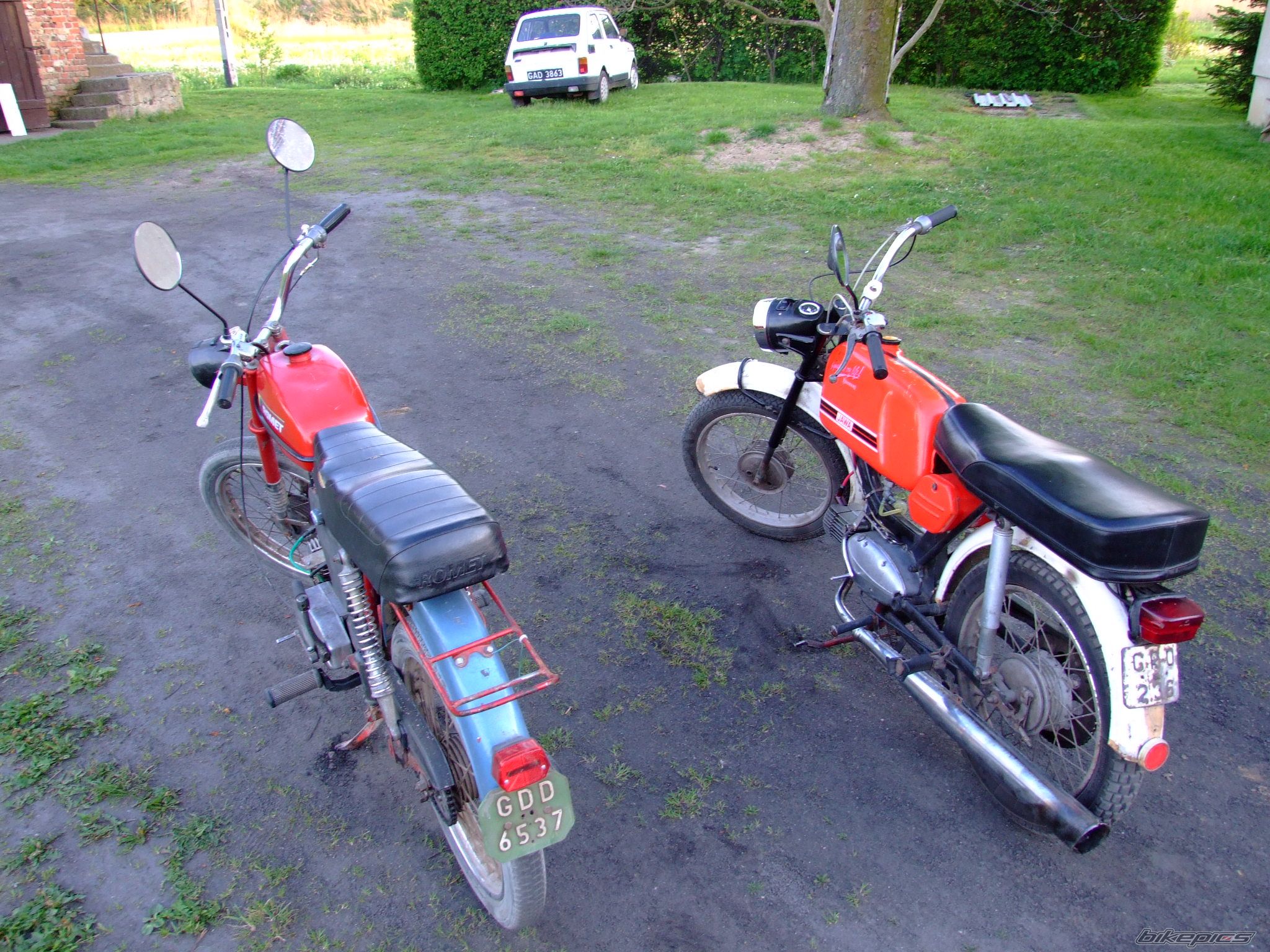 Photo 1299962