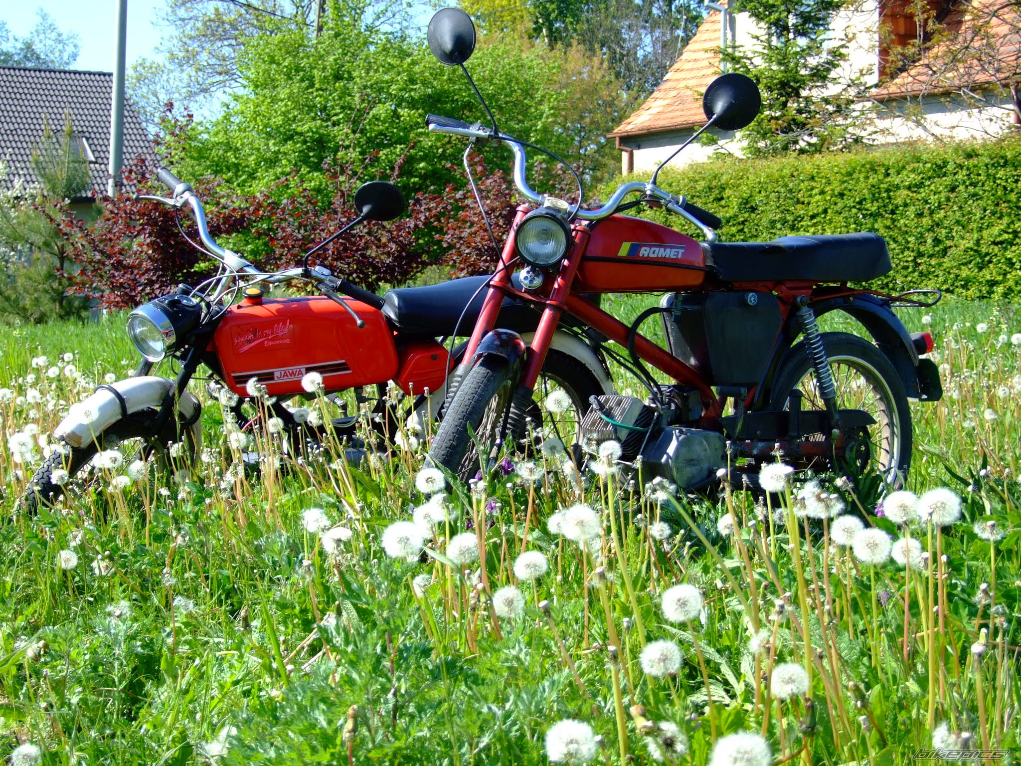 Photo 1299967