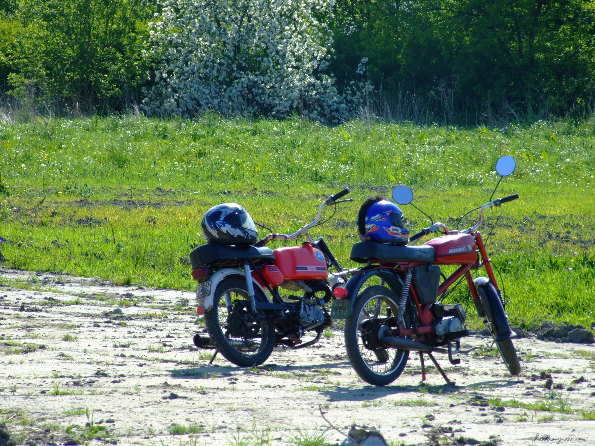Photo 1299976