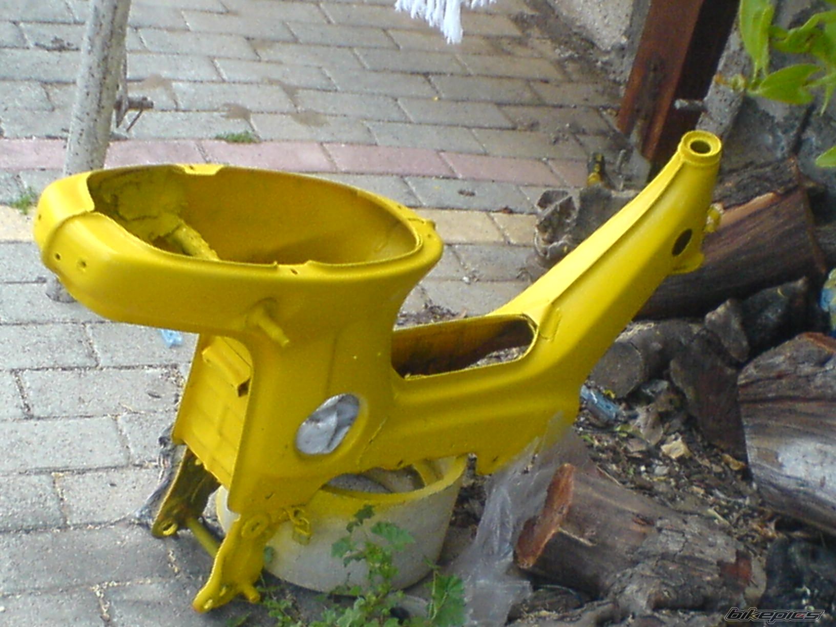 Photo 1299979