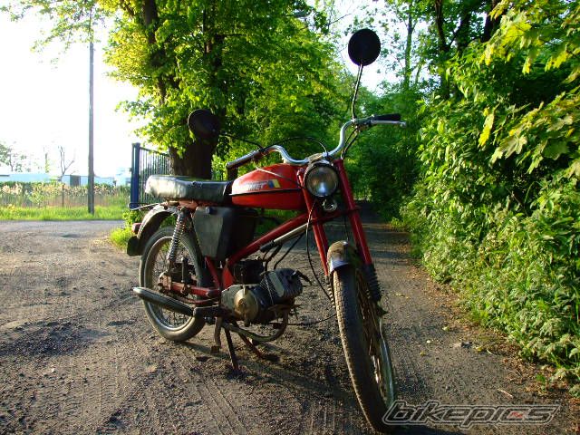 Photo 1299995