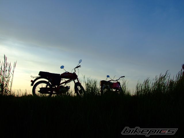 Photo 1300005