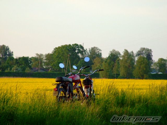 Photo 1300007