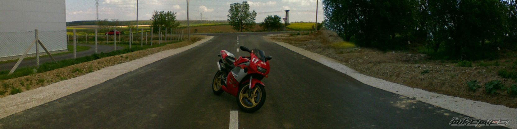 Photo 1300013