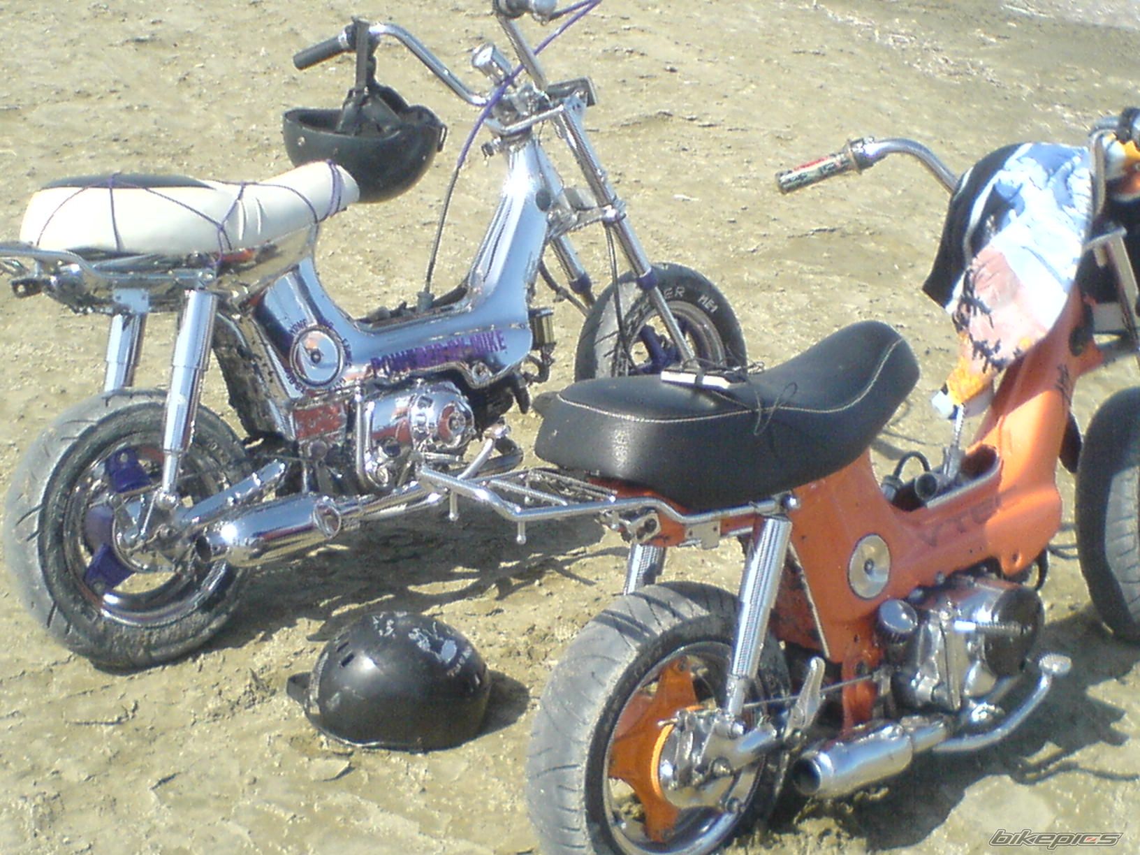 Photo 1300016