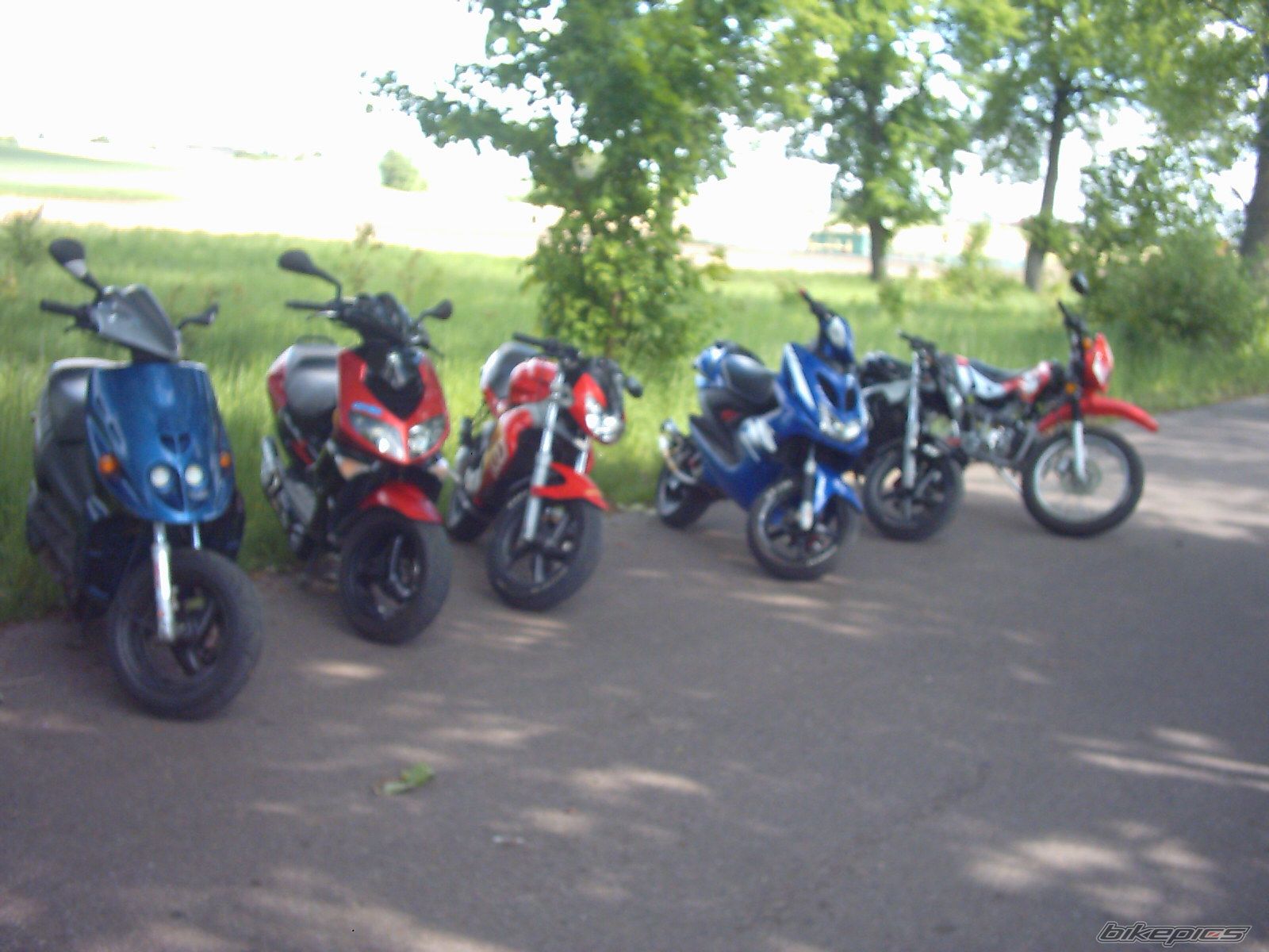 Photo 1300035