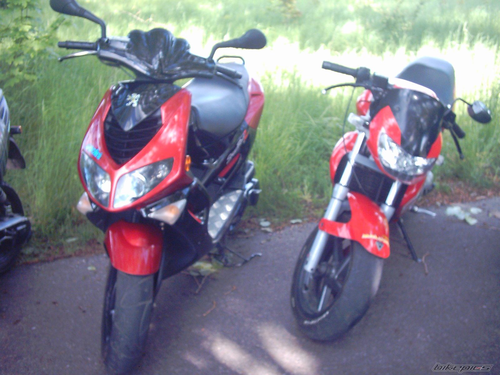 Photo 1300041