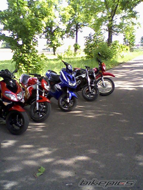Photo 1300061