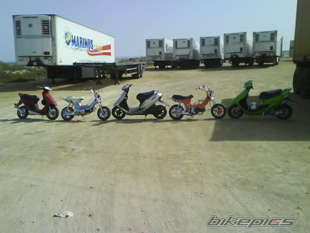 Photo 1300067