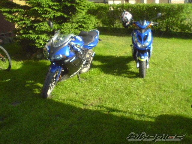 Photo 1300123