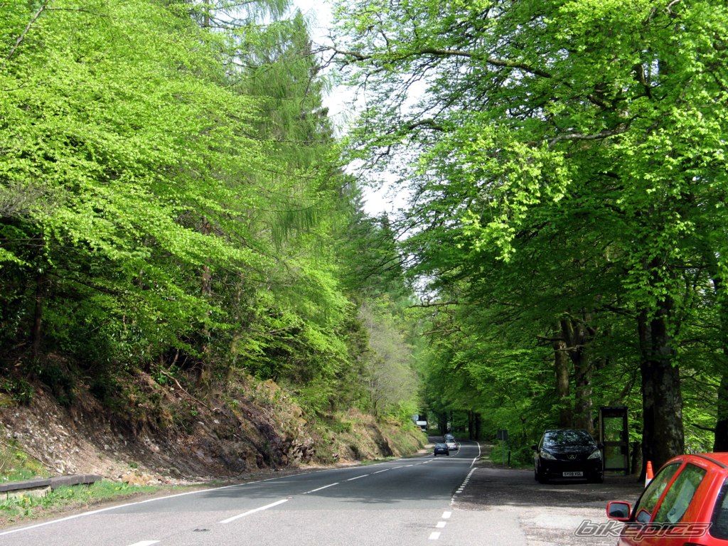 Bike Photo 1300224