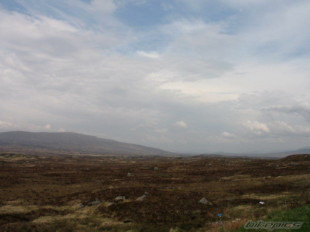 Photo 1300257