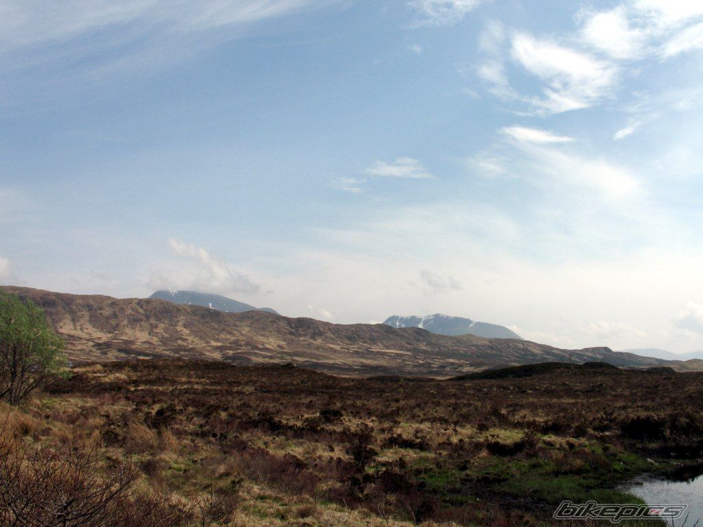 Photo 1300262