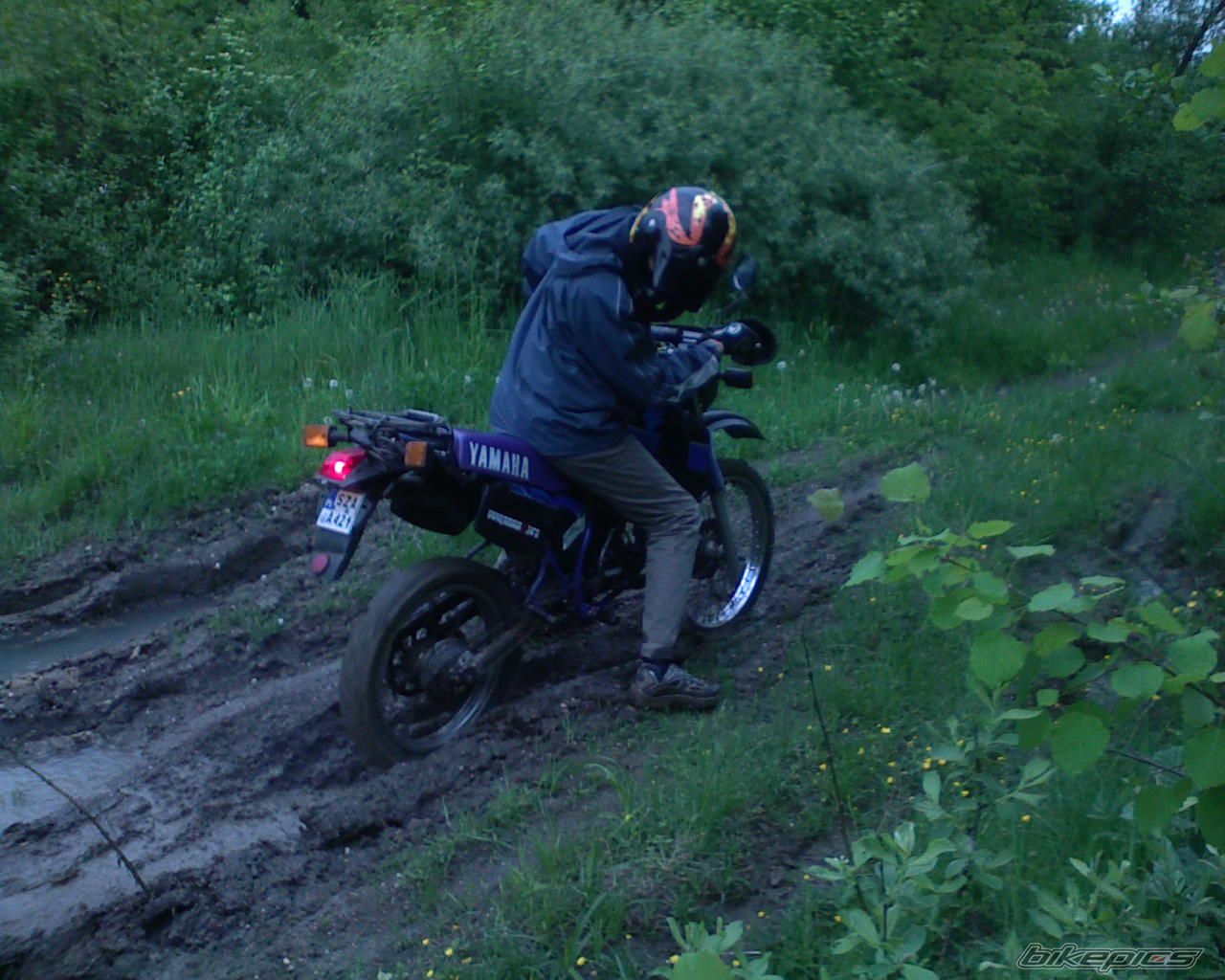 Bike Photo 1300323
