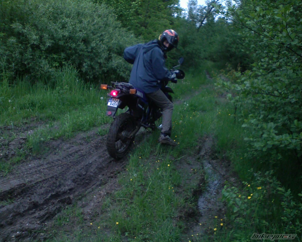 Bike Photo 1300326