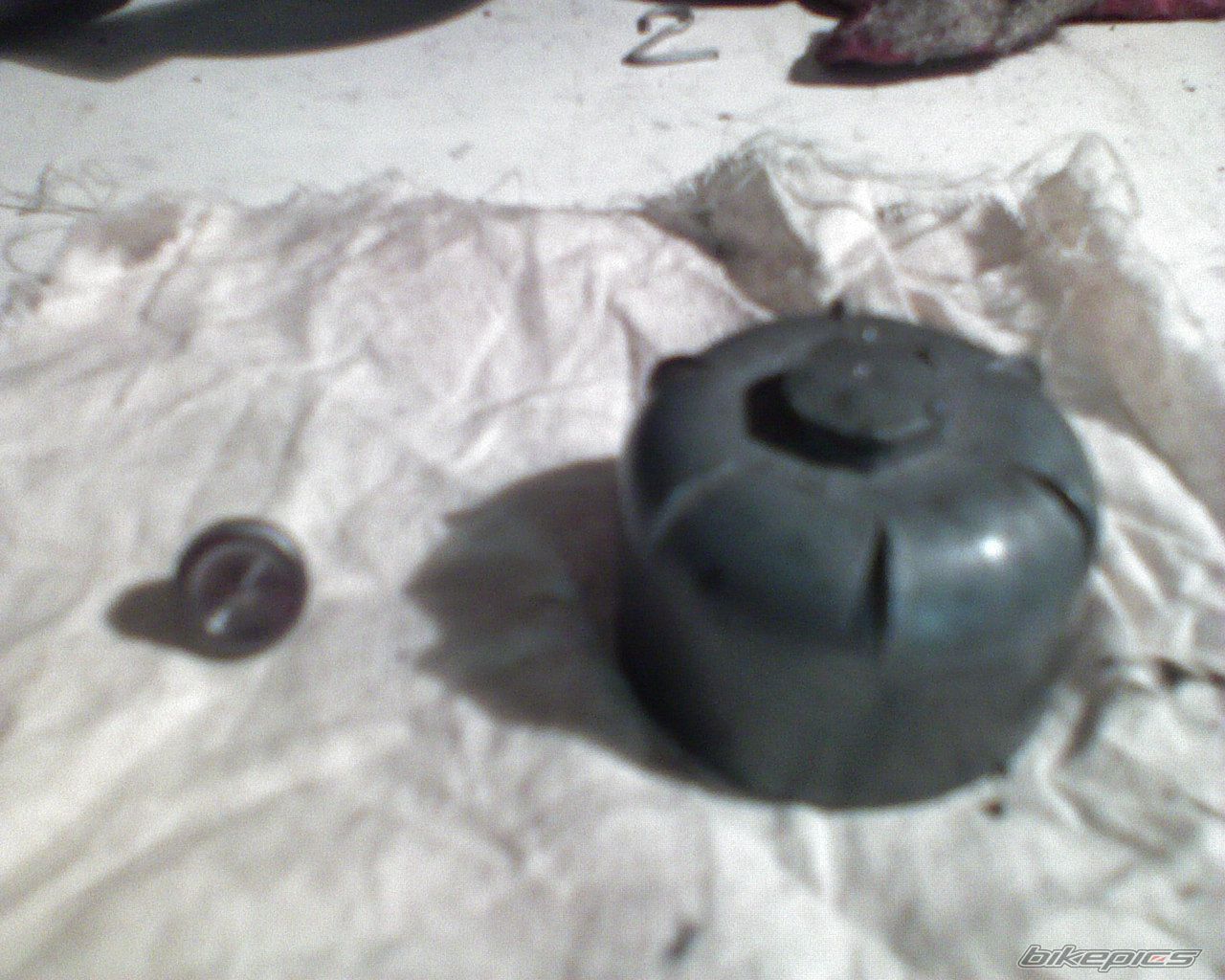 Photo 1300335