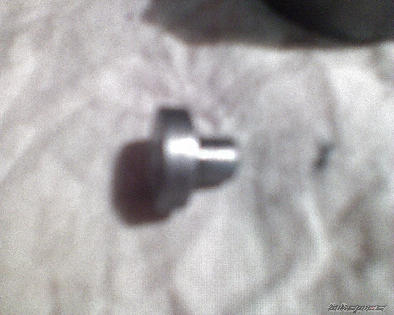 Photo 1300339