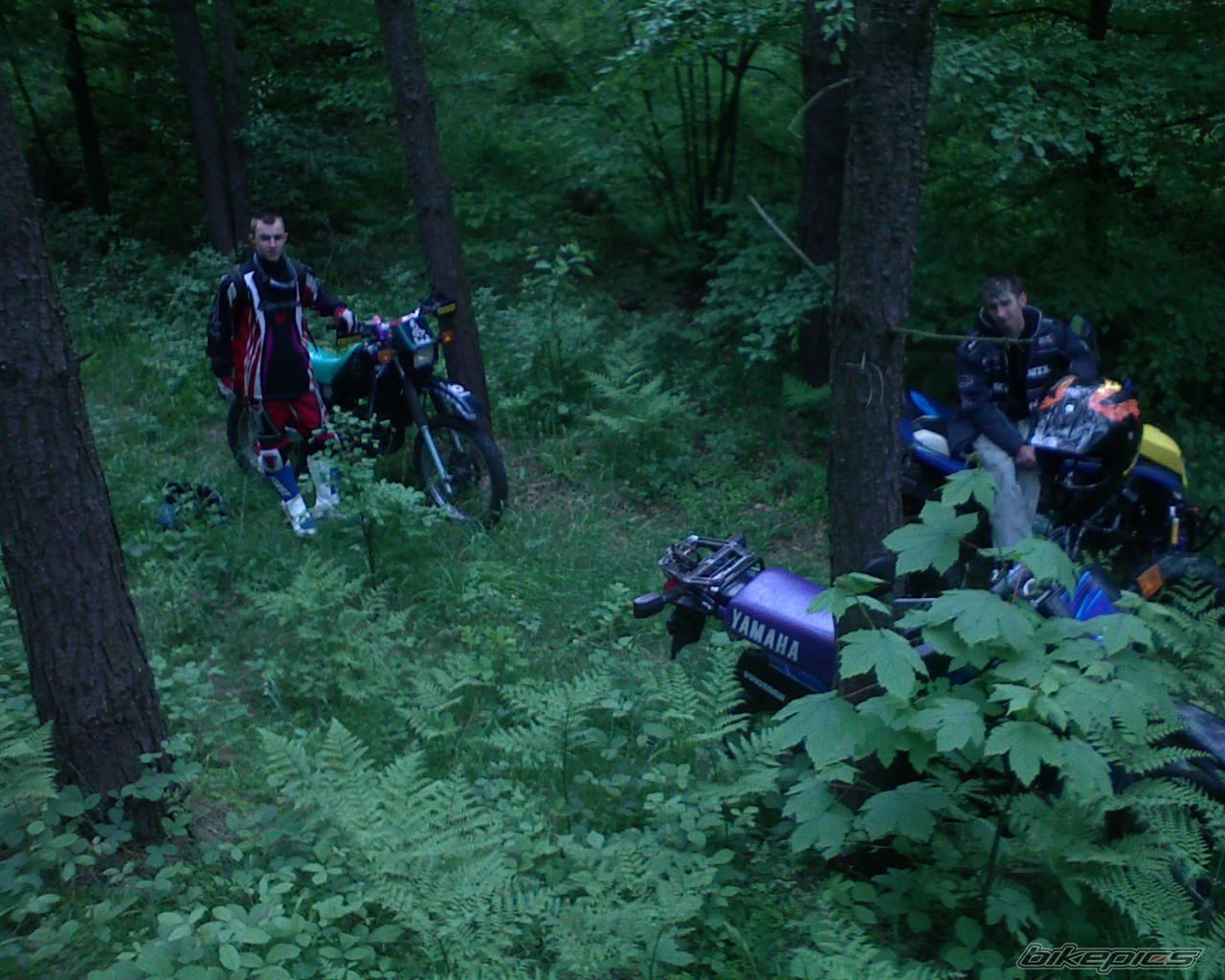 Bike Photo 1300375